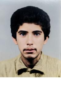 محمدحسین گل کشی