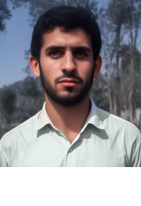 ایوب آئین