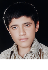 مجید بابائیان بیجارپسی