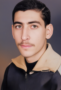 حسین حسنی